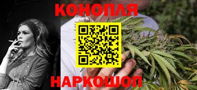 шишки Будённовск