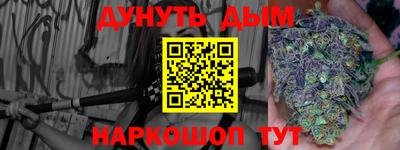 шишки Будённовск