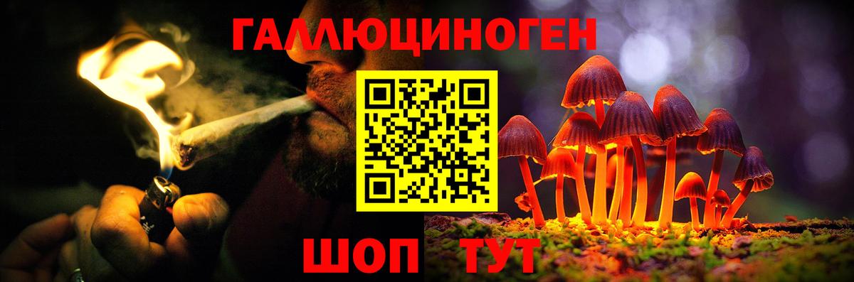 Псилоцибиновые грибы Psilocybine cubensis  Вход с VPN  Элиста 